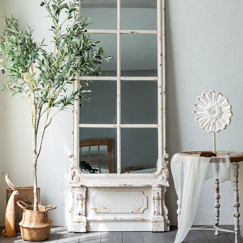 Mirror next to plant and table