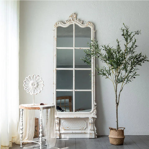 Mirror next to plant and table