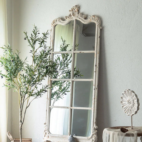 Mirror next to plant and table